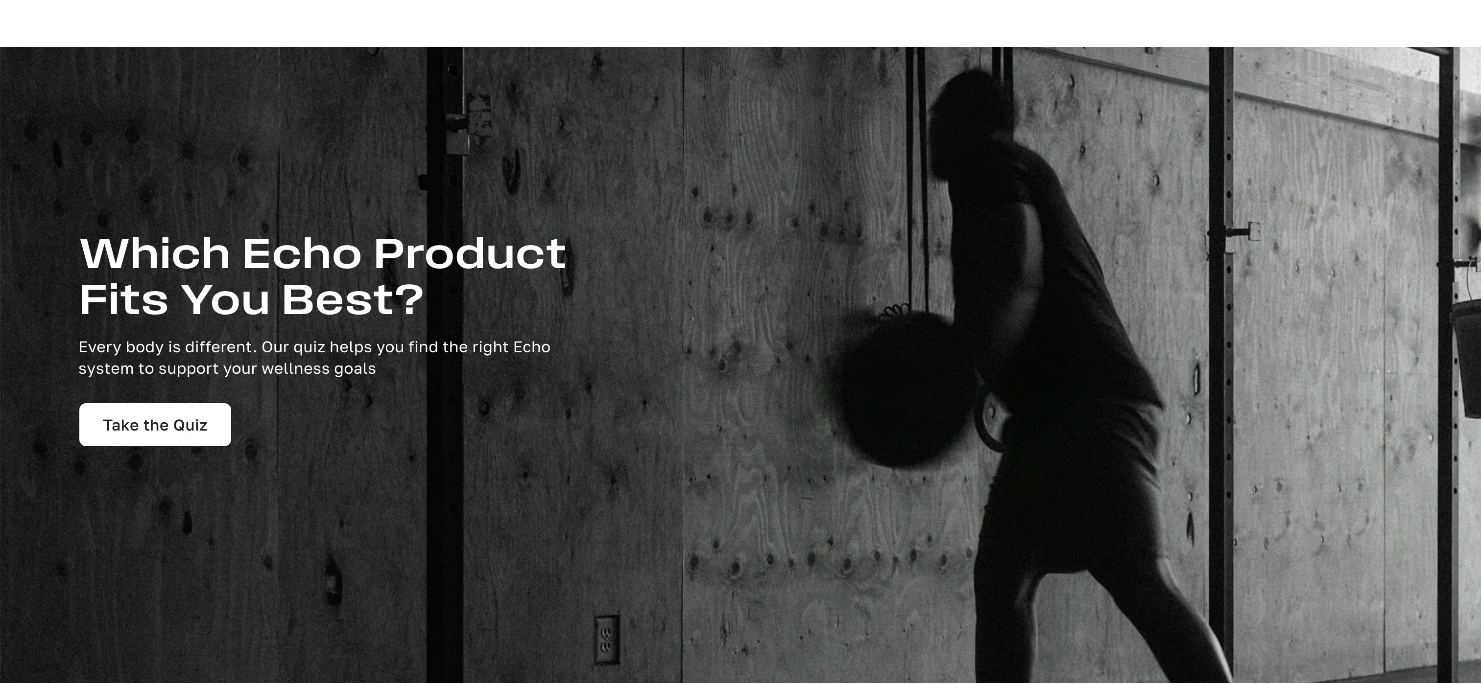 Which Echo Product Fits You Best?