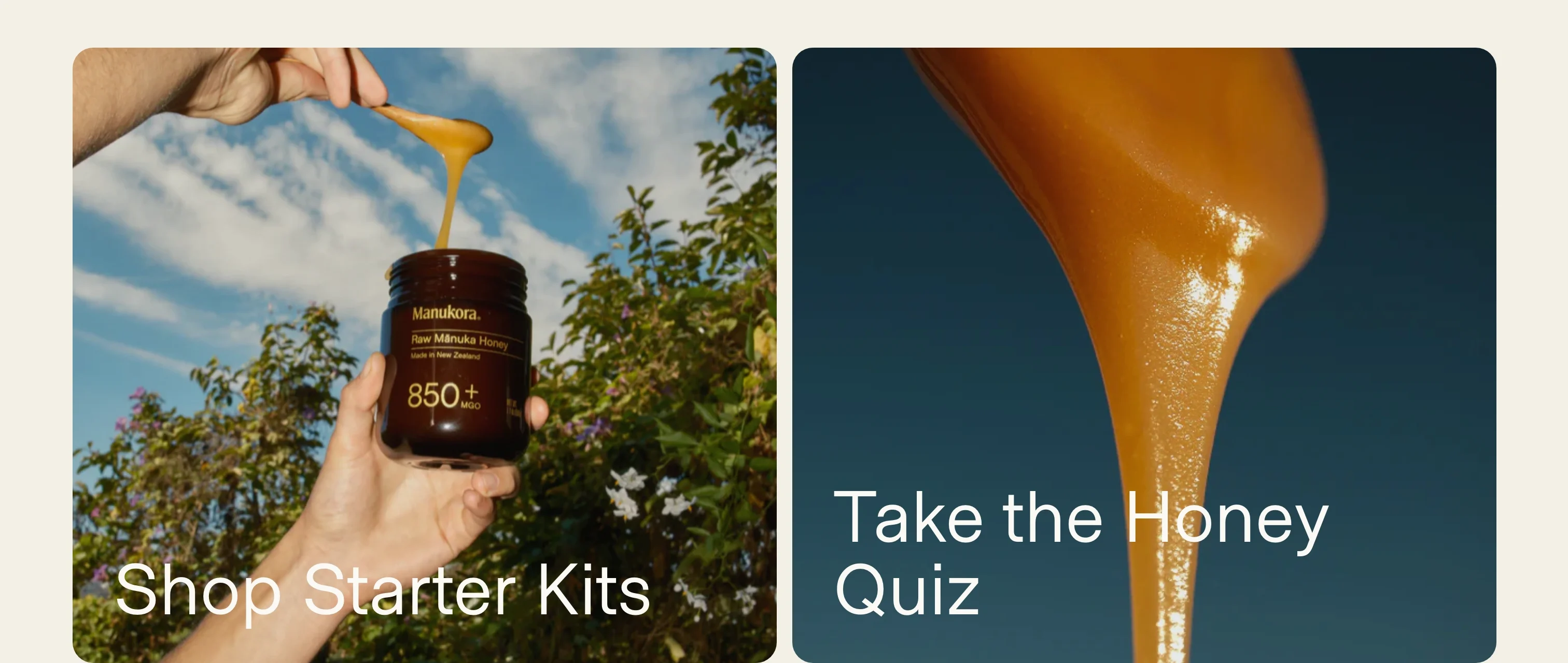 Shop & Take Quiz CTAs