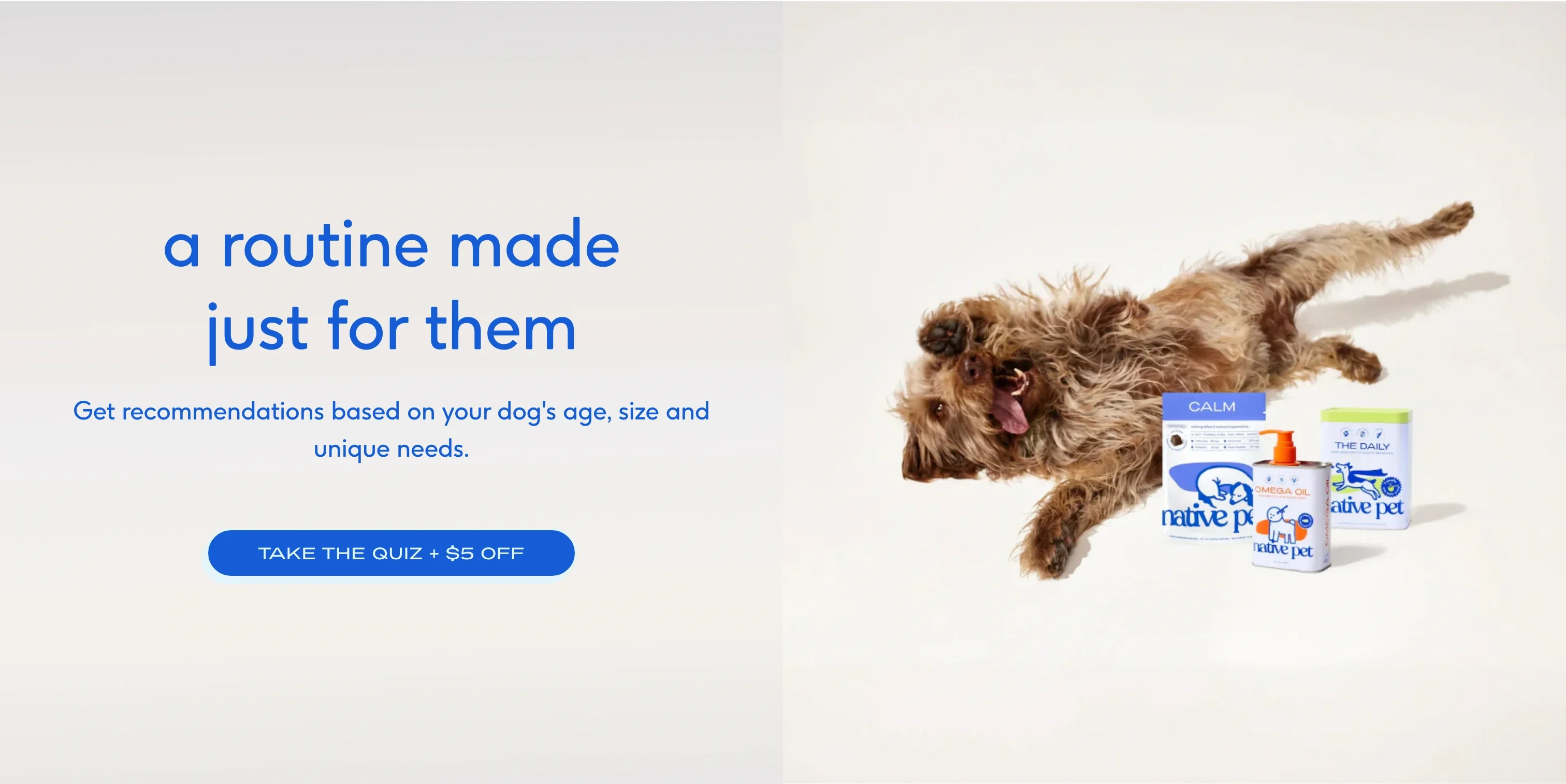 Personalized Routine Quiz