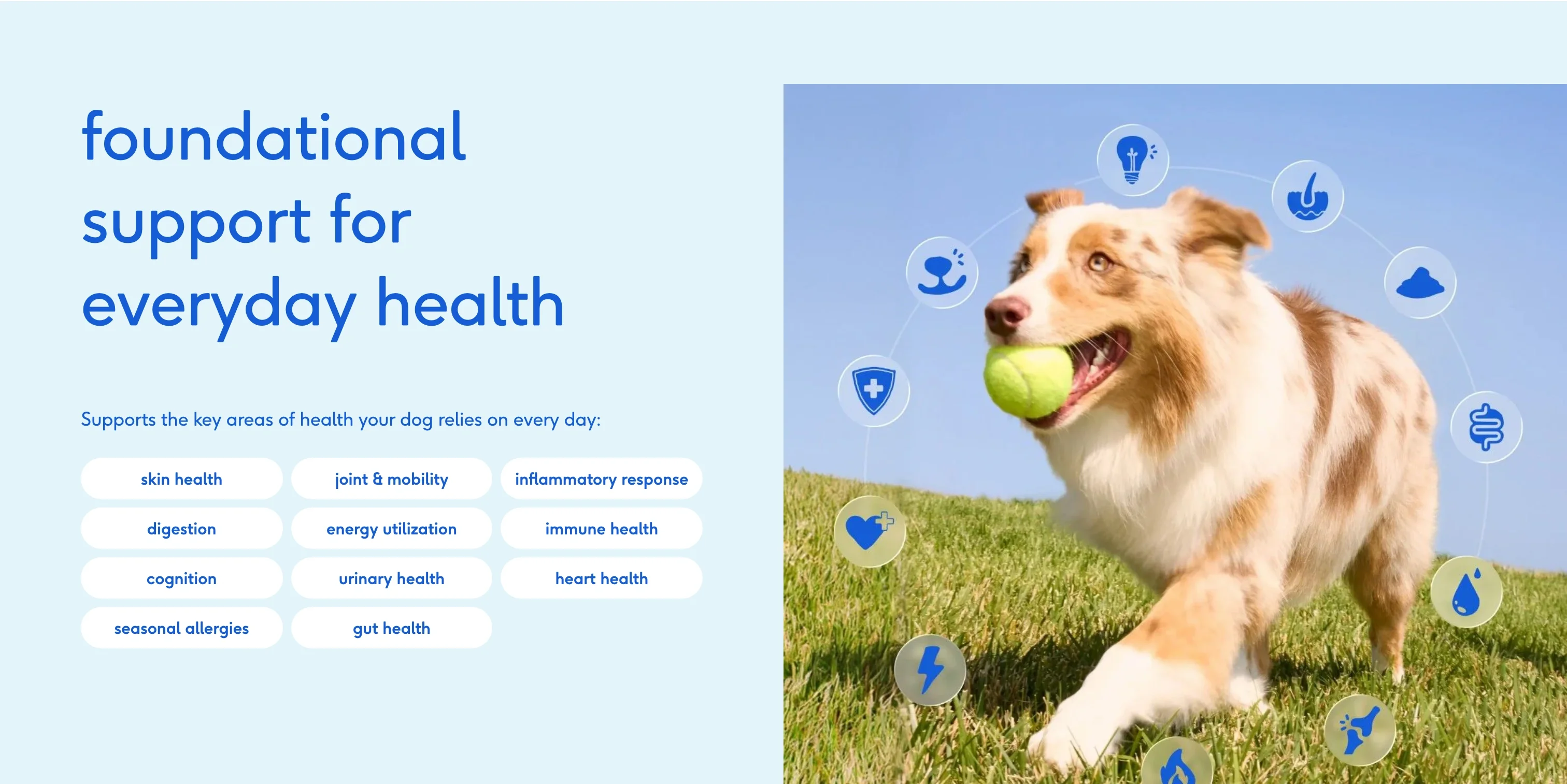 Foundational Health Benefits