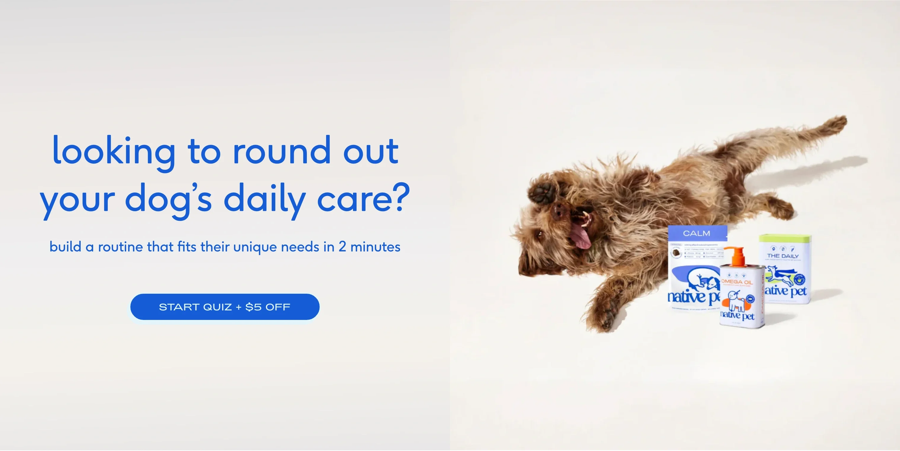 Personalized Routine Quiz CTA