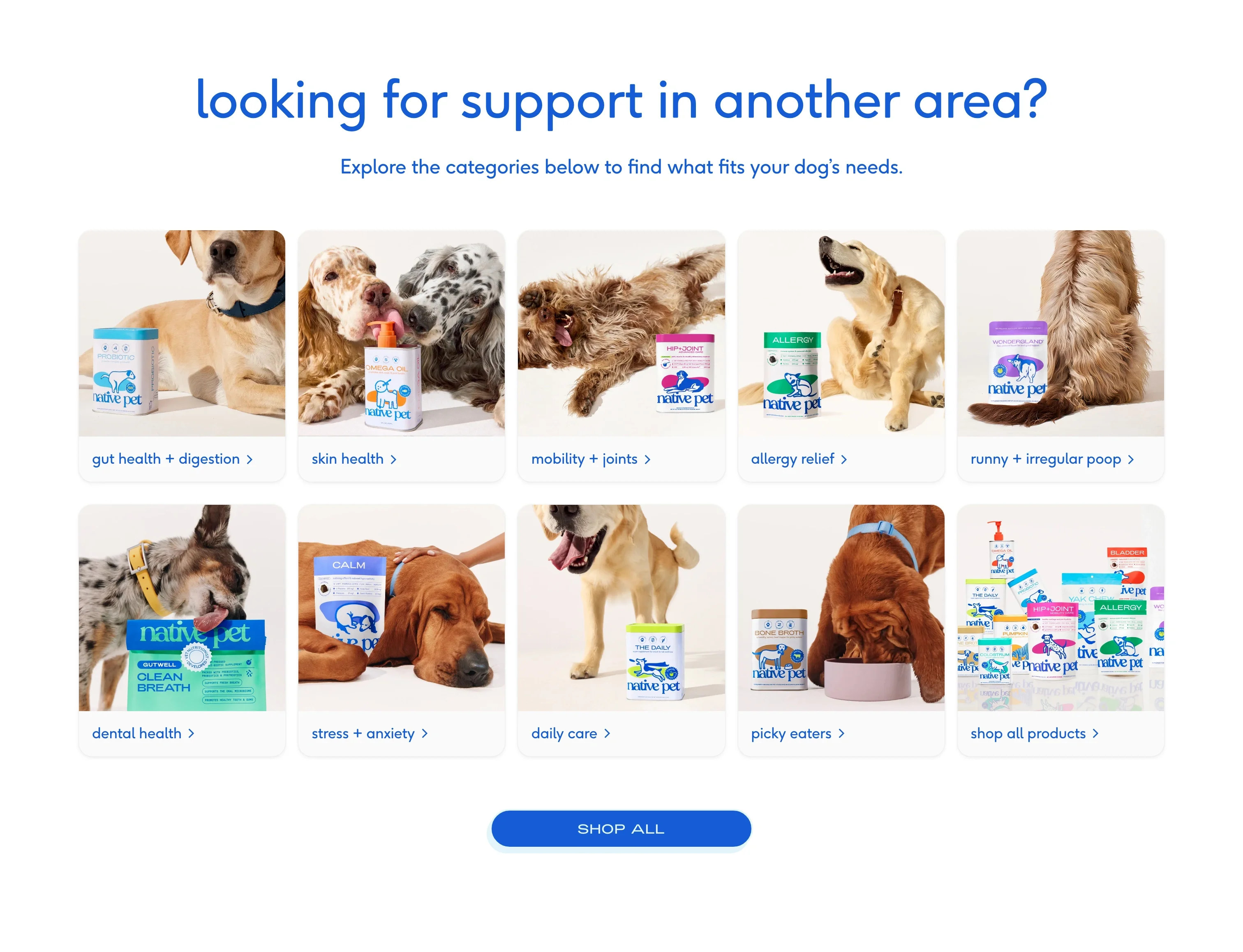 Shop by Category — Health Concerns