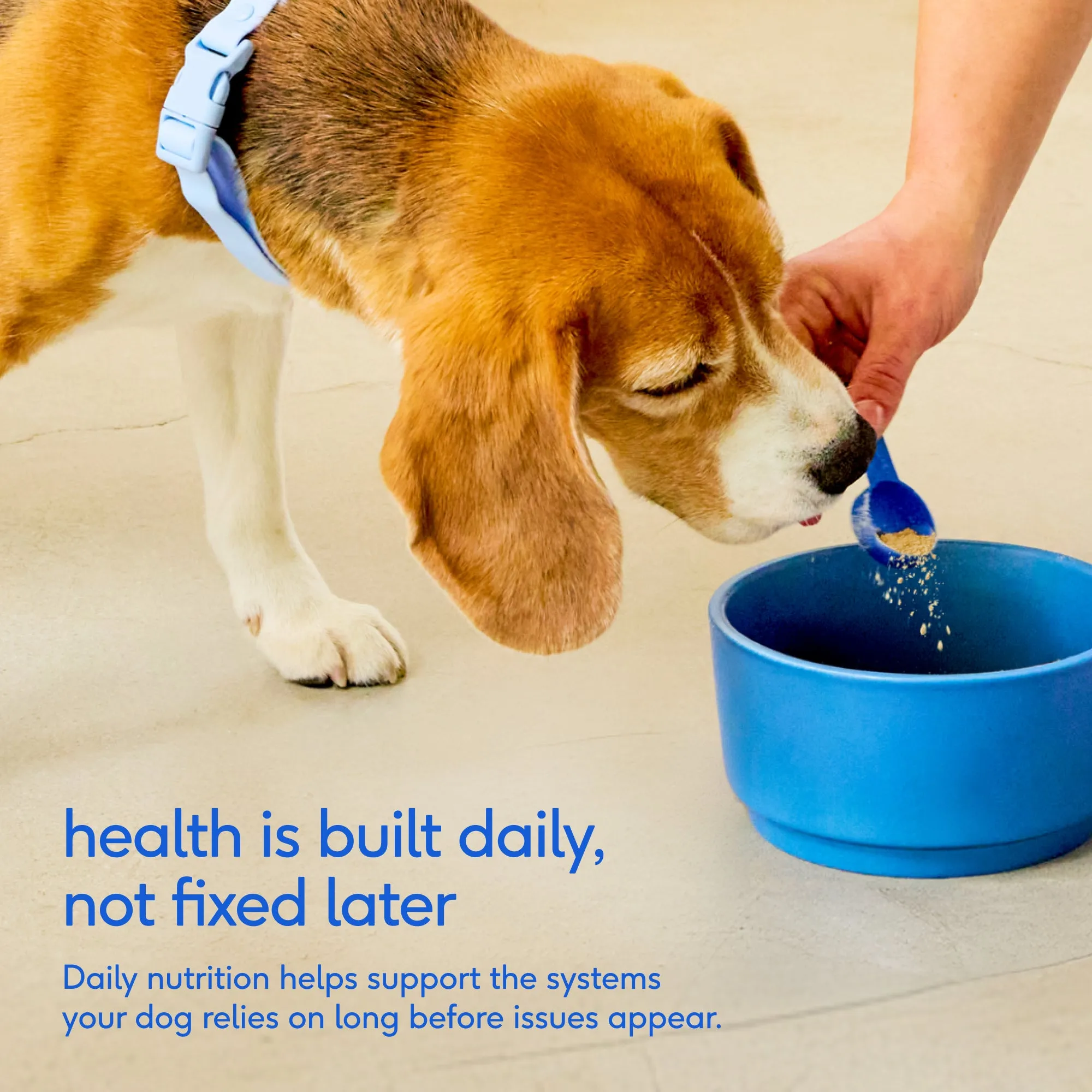 Product from Native Pet