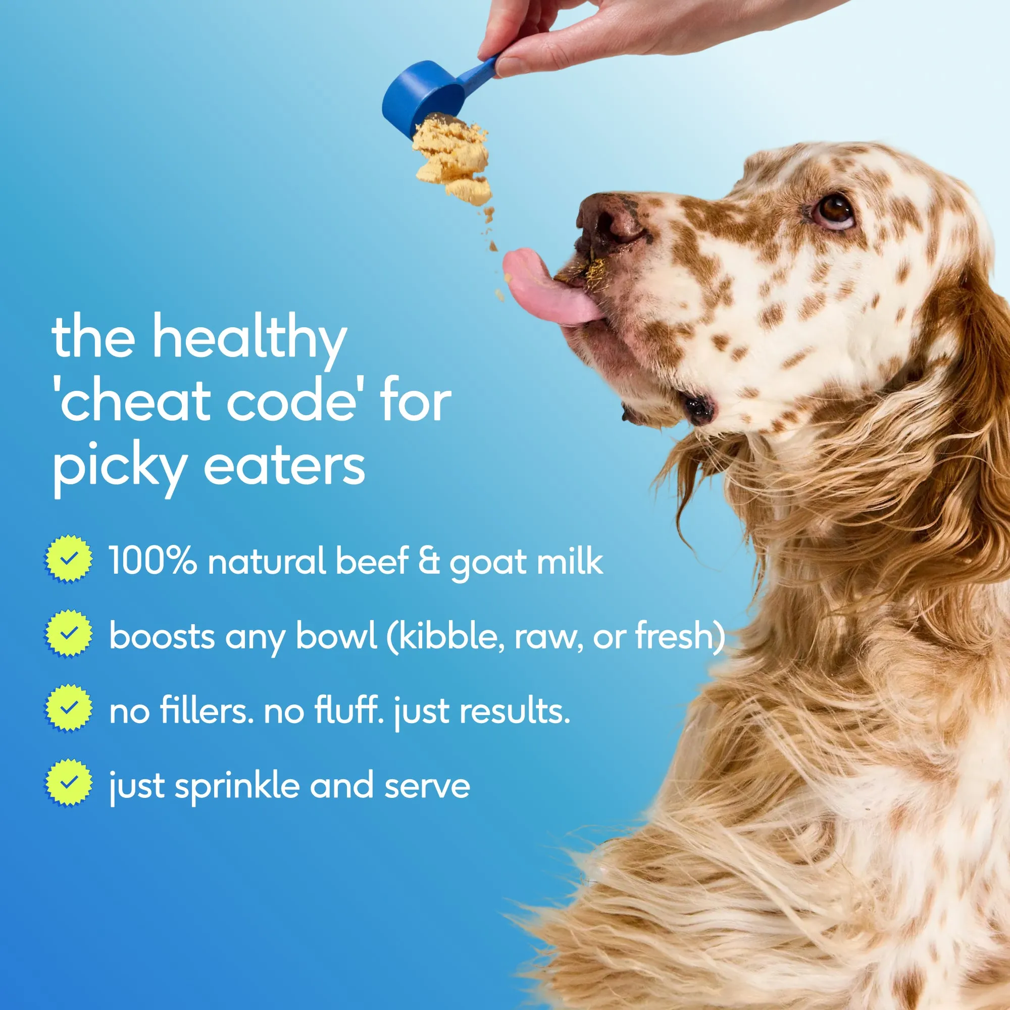 The Daily — Taste Appeal