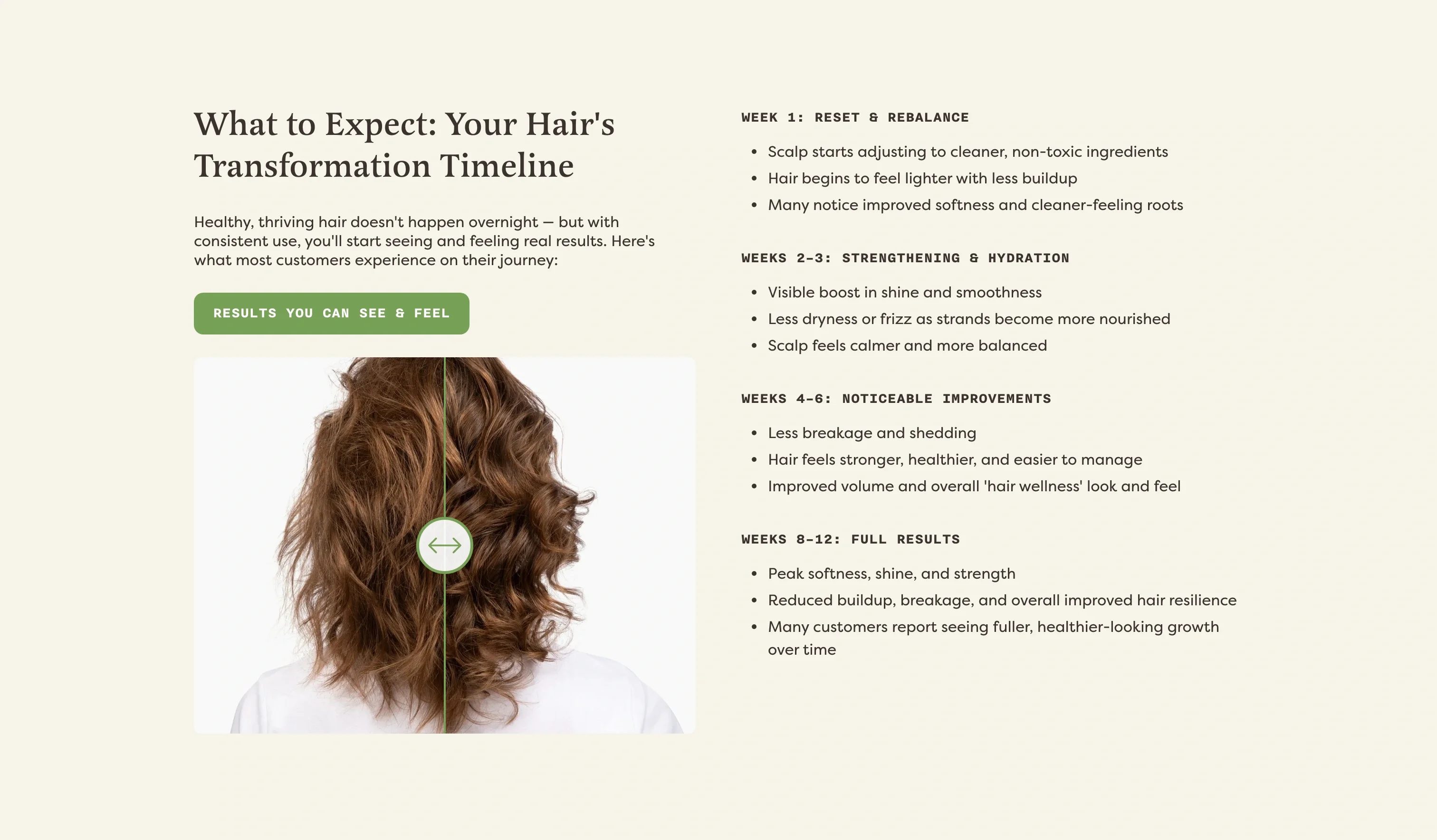 Timeline — Hair Transformation Journey