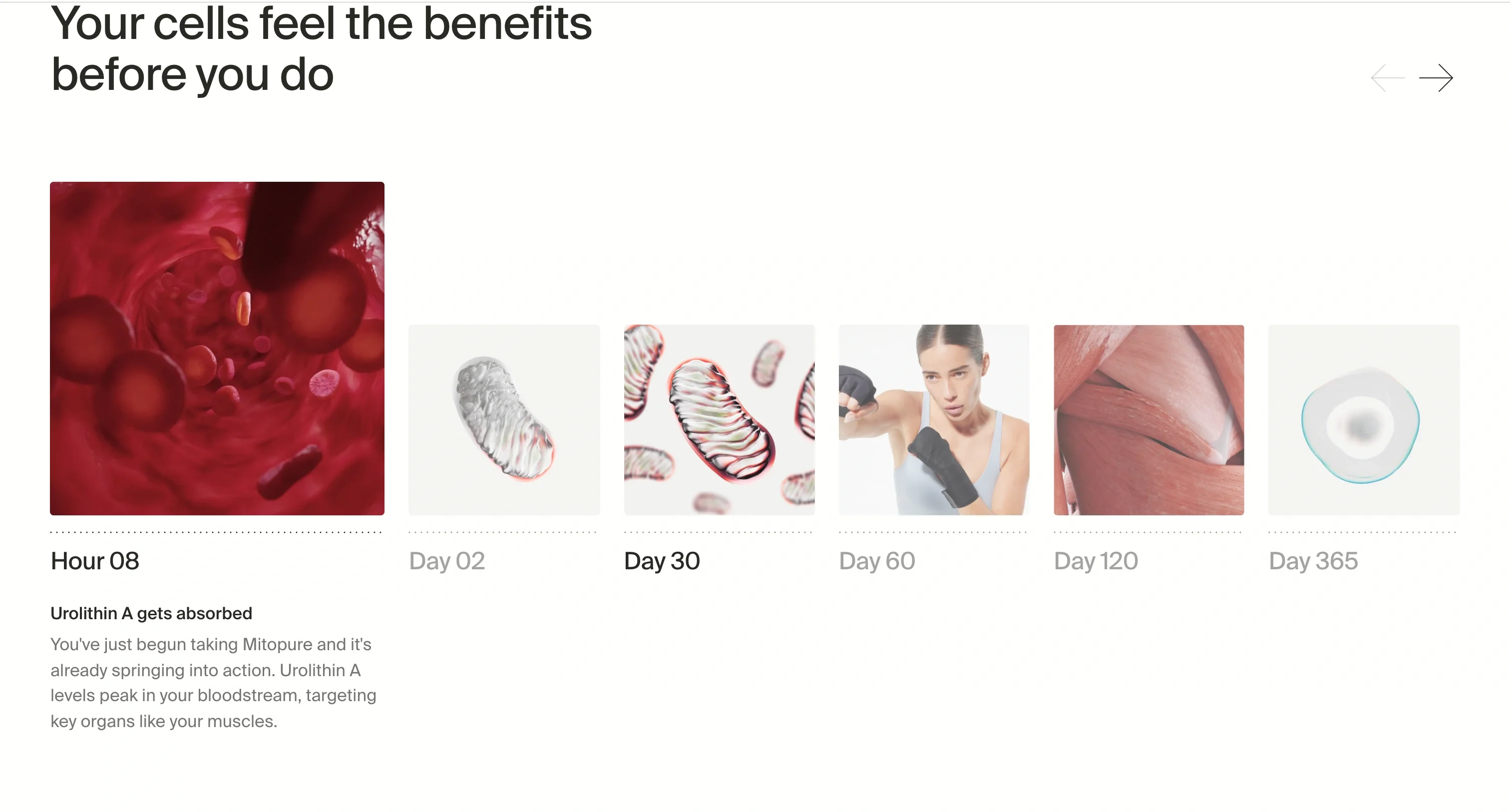 Benefits Timeline